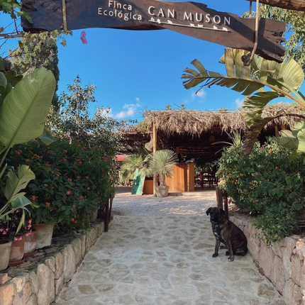 Beste koffie en ontbijt in Ibiza – Sofie’s favoriete adresjes